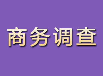 海伦商务调查