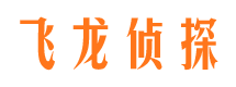 海伦私家调查